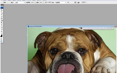 Adobe Photoshop中液化工具的详细使用步骤截图