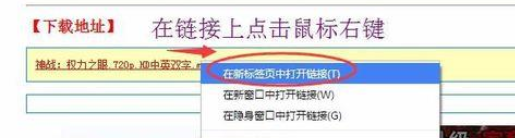 谷歌浏览器无法启用迅雷/阿里旺旺的解决方法截图