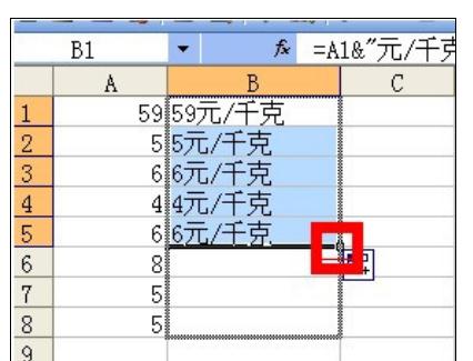 excel2007批量添加前缀或后缀的详细教程截图