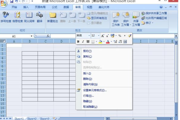 excel2007隐藏单元格内容的操作步骤截图