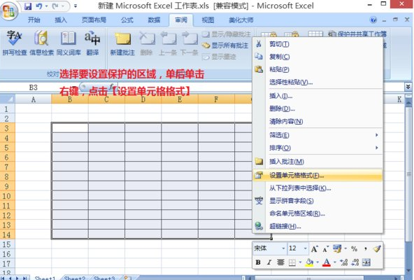 excel2007隐藏单元格内容的操作步骤截图