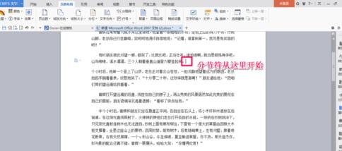 word2013插入分节符的操作教程截图