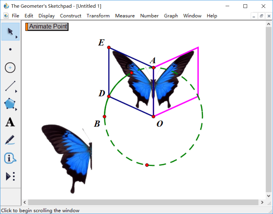 几何画板做出蝴蝶动画的详细过程截图