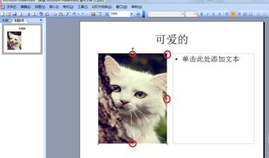 ppt2013设置文字环绕效果的简单操作截图