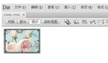 Dreamweaver进行图片编辑的操作步骤截图