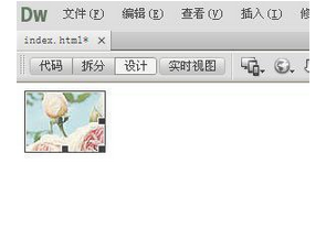 Dreamweaver进行图片编辑的操作步骤截图