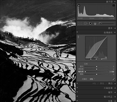 lightroom用色调曲线修图的详细教程分享截图