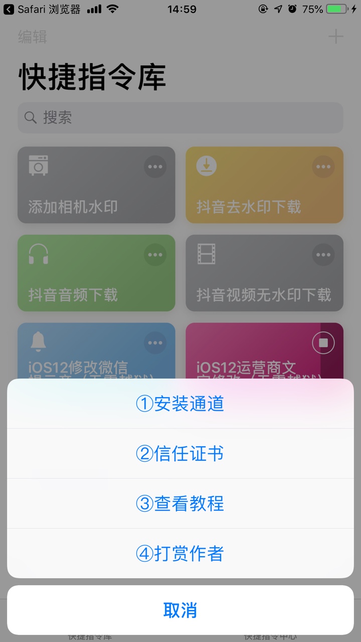 抖音ios12运营商文字进行修改的方法讲解截图