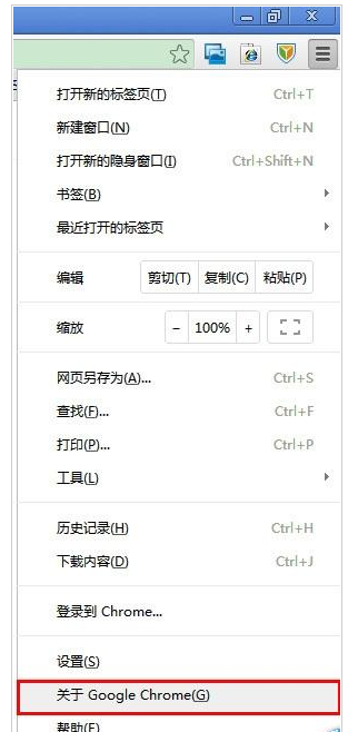 谷歌浏览器出现更新失败不能自动更新的操作教程截图