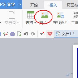 wps制作一款简约派简历的详细方法截图