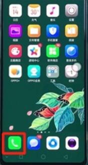 oppoReno Ace清理通话记录的详细步骤截图