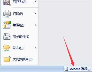 access数据库应用程序图标设置操作过程截图