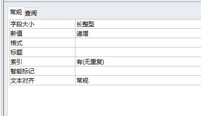 access中对字段进行智能标志的操作步骤截图