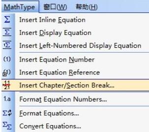 MathType公式编号不从1开始的编辑方法截图