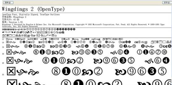 MathType出现Font字体乱码的解决方法截图