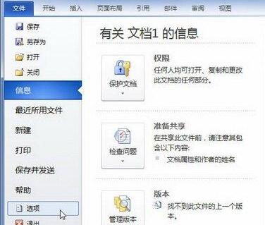 word2010文档窗口显示“开发工具”选项卡的简单方法截图