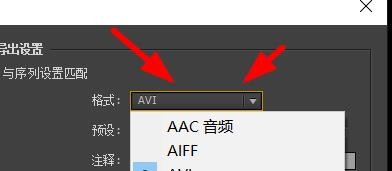 premiere素材导出到一定百分比卡住的处理方法截图