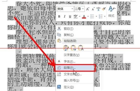 word字体放大后显示不完整的处理操作内容截图