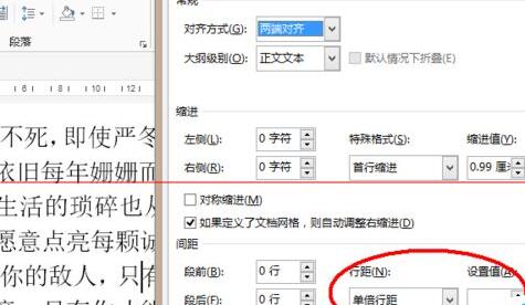 word字体放大后显示不完整的处理操作内容截图