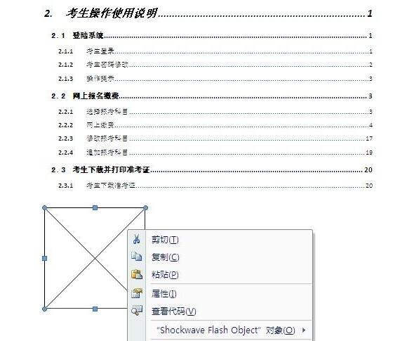 word如何插入动画-word插入Flash动画的详细步骤截图