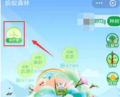 支付宝弄种树彩色树的方法步骤截图