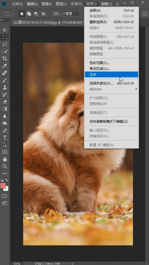 Photoshop怎么抠狮子狗?Photoshop抠狮子狗教程截图