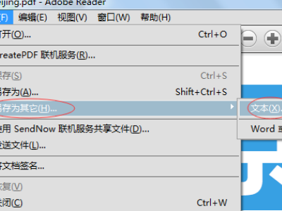 apabi reader如何转换成word?apabi reader转换成word的教程截图