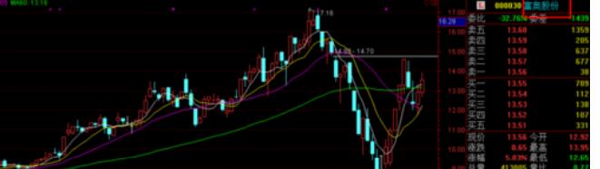 通达信金融终端怎么添加自选股?通达信金融终端添加自选股的教程截图