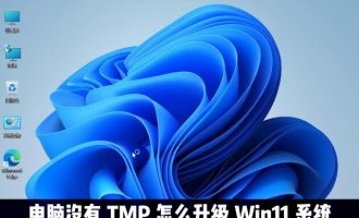 我来分享Win11怎么绕过TMP进行安装。