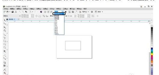 coreldraw 2018如何使用缩放级别?coreldraw 2018使用缩放级别的方法截图