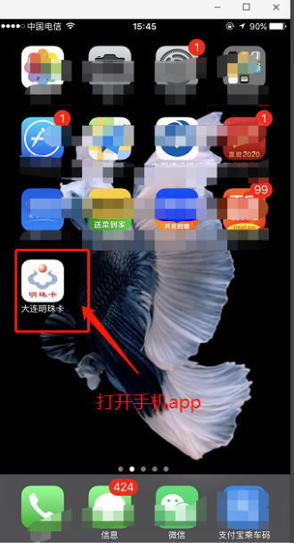 大连明珠卡怎么用手机充值 大连明珠卡用手机充值具体操作步骤截图