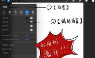 分享Procreate手势控制面板如何设置。