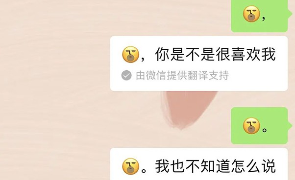 微信表情翻译不出来怎么办？微信emm表白翻译不出来解析截图