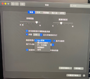 macbookpro怎么显示歌词在键盘 macbookpro显示歌词在键盘上的设置方法截图