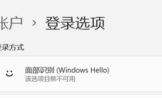 说说Win11更新22000.100后Windows。