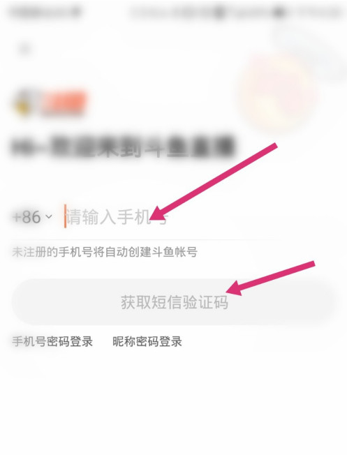 斗鱼消费记录怎么看 斗鱼查询消费记录方法截图