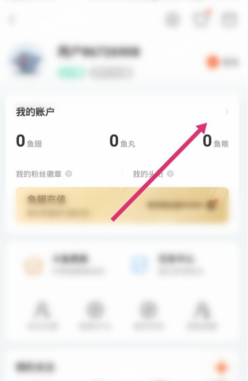 斗鱼消费记录怎么看 斗鱼查询消费记录方法截图