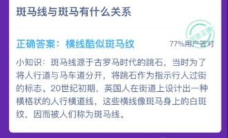 小编分享斑马线和斑马有什么关系。