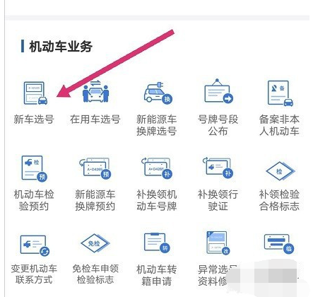 交管12123车牌号在哪里选择?交管12123车牌号的选择步骤截图