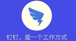 钉钉app怎么实现拍照创建审批? 钉钉拍照创建审批模板的技巧步骤