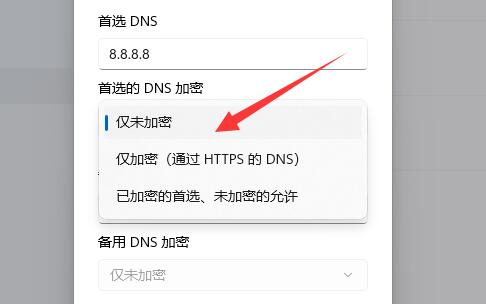 win11如何加密dns?win11加密dns的方法截图