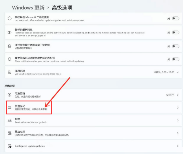 Windows11怎么开放资源共享？Windows11打开传递优化功能教程截图