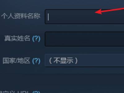 steam如何修改账户名？steam修改账户名详细方法截图