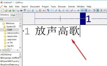 EditPlus字体怎么变大？EditPlus设置字体大小步骤介绍