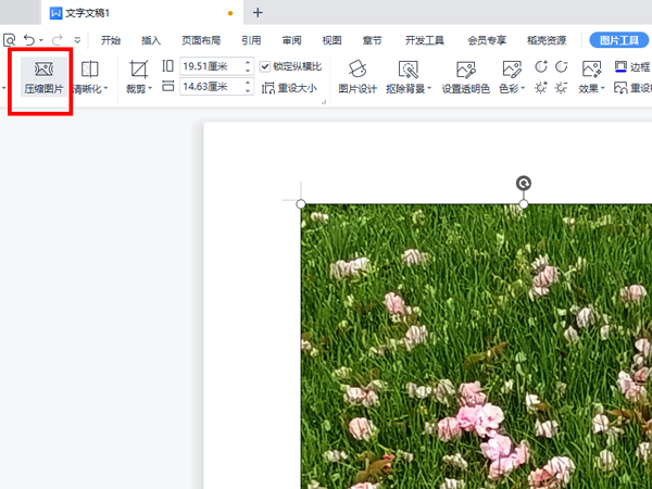 WPS怎么压缩图片?WPS压缩图片的方法截图