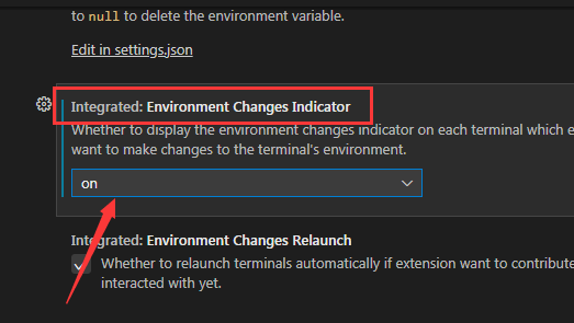 Vscode如何设置环境变化指示灯?Vscode设置环境变化指示灯的方法截图