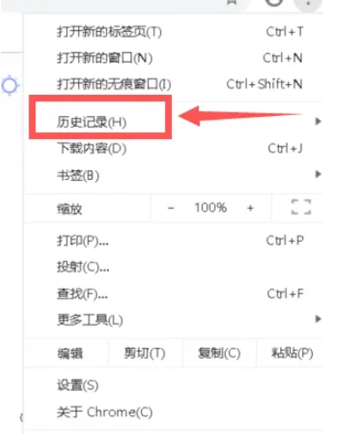 Google浏览器怎么查看历史记录?Google浏览器查看历史记录的方法截图