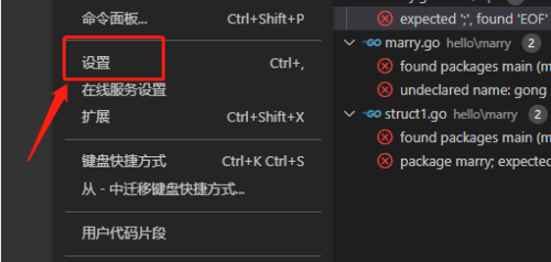 Vscode怎么自定义终端类型？Vscode自定义终端类型方法截图