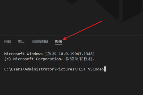 Vscode怎么拆分终端?Vscode拆分终端教程截图