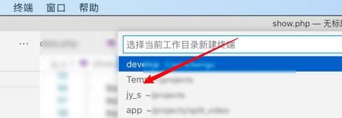 Vscode如何在终端显示结果？Vscode在终端显示结果教程截图